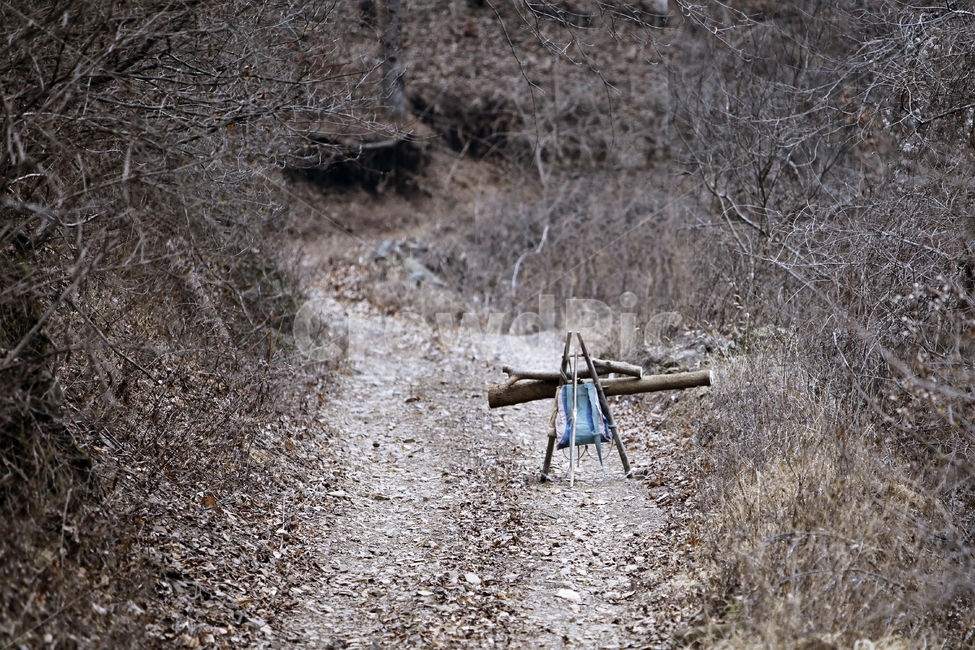 나뭇꾼,지게,산골,풍경,woodcutter,자연,풍경,nature,landscape,한국자연풍경,한국자연경관,korea nature landscape,시골,마을,country,rural,town,감성,sensible,feeling,dirt road,흙길,gravel,자갈,road,도로