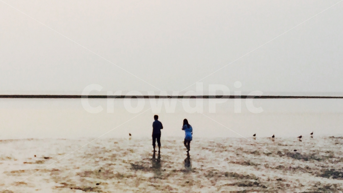 그림자,인물실루엣,바다,사진작가,포토그래퍼,silhouette,풍경,landscape,해변,바다,beach,sea,사람,인물,인간,human,person,인물실루엣,사람실루엣,character silhouette,human silhouette,감성,sensible,feeling,bird,새,animal,동물
