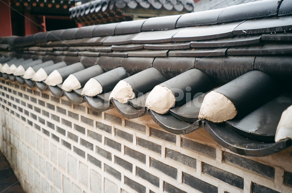 담벼락,화성행궁,고궁,한옥,기와,필름사진,화성,행궁,roof,지붕,감성