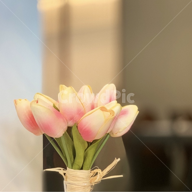 꽃다발,꽃,튤립,봄,인테리어,식물,자연,plants,nature,꽃,flower