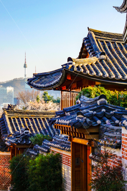 건축물,building,한옥마을,북촌한옥마을,남산타워,한국전통,한국문화,korean traditional,korean culture,건축물,건물외관,exterior,building,structure,architecture,construction