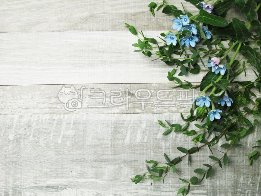 꽃장식,리스장식,plant,flower,꽃배경,우드