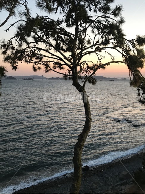boat,보트,nature,자연,outdoors,옥외,dusk,황혼,redsky,붉은하늘,sunset,일몰,sky,하늘,노을,바다,소나무,tree,나무,파도