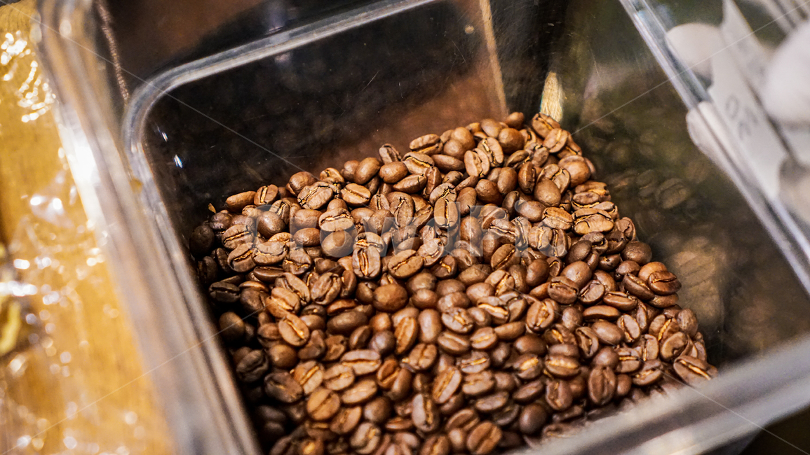 원두,커피,생두,커피콩,cafe,coffee,콩,커피타임,coffeetime