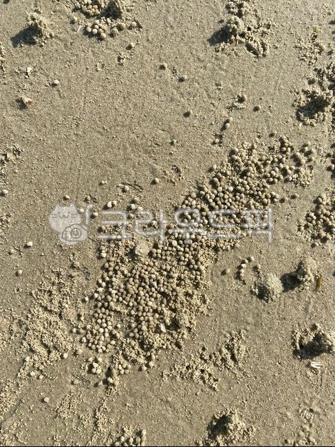 모래,모래사장,텍스쳐,바다,해변,바닷가