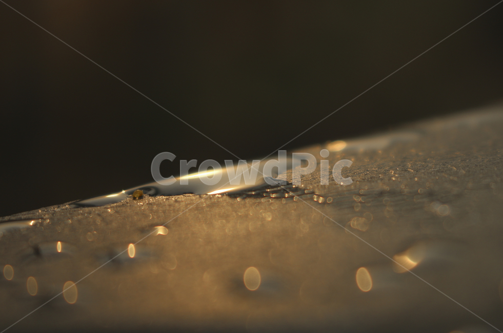 droplet,작은물방울,water,물,물방울,이슬,아침이슬,햇빛,light
