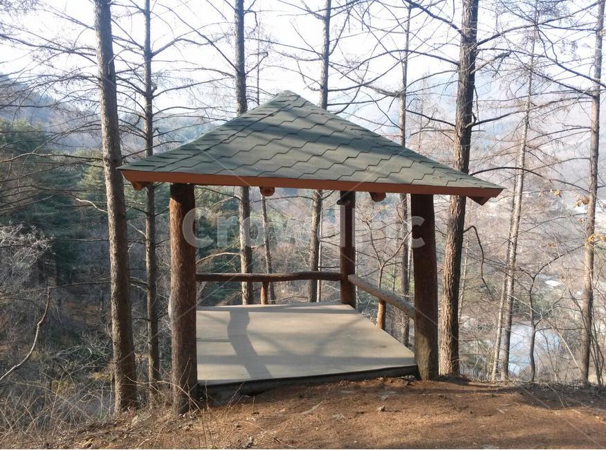 원두막,숲,나무,봄,계절,식물,자연,plants,nature,나무,trees,wood,건축물,건물외관,exterior,building,structure,architecture,construction