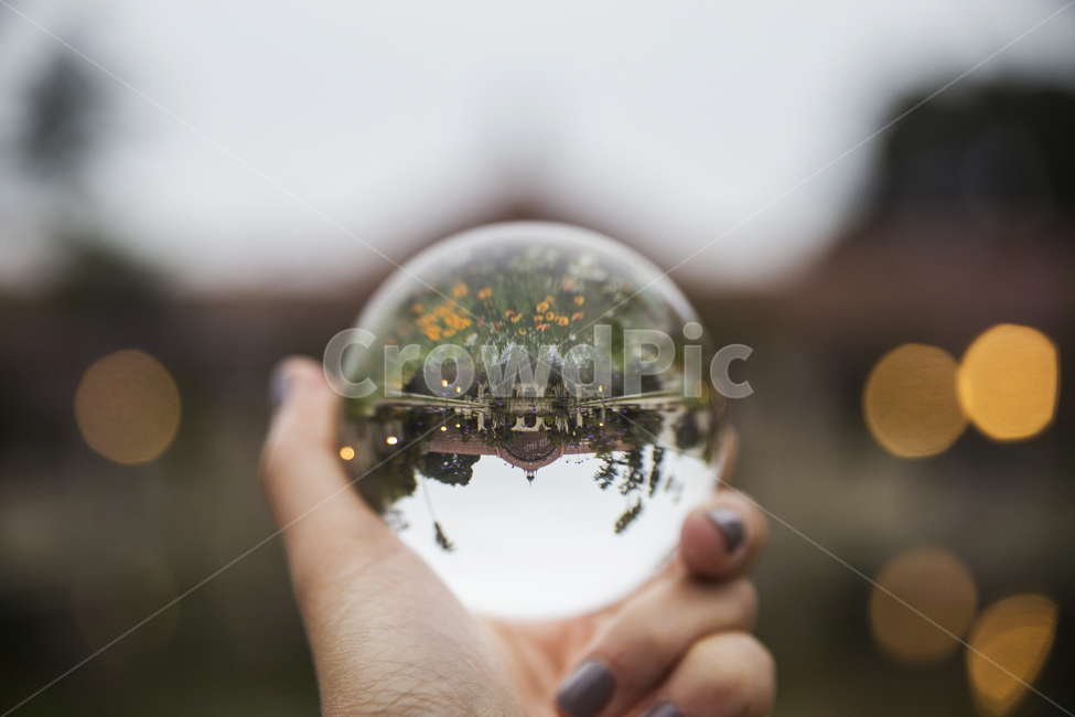 sky,USA,tree,crystal ball,commemorative shot,water,flower,lens ball,San Diego,travel,Balboa Park