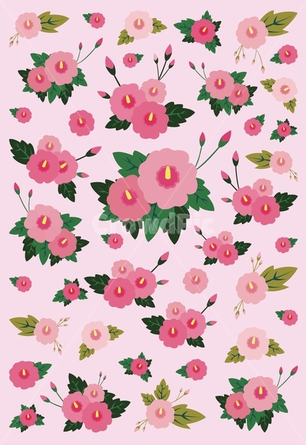 무궁화,핑크,꽃,잎,일러스트,엽서,삽화,패턴,전통적인,한국,꽃,flower,그래픽,일러스트레이션,graphic,illustration
