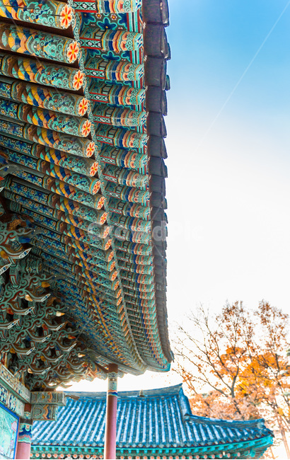 단청,문화유산,사찰,용주사,기와,처마,문양,무늬,한국전통,한국문화,korean traditional,korean culture,건축물,건물외관,exterior,building,structure,architecture,construction