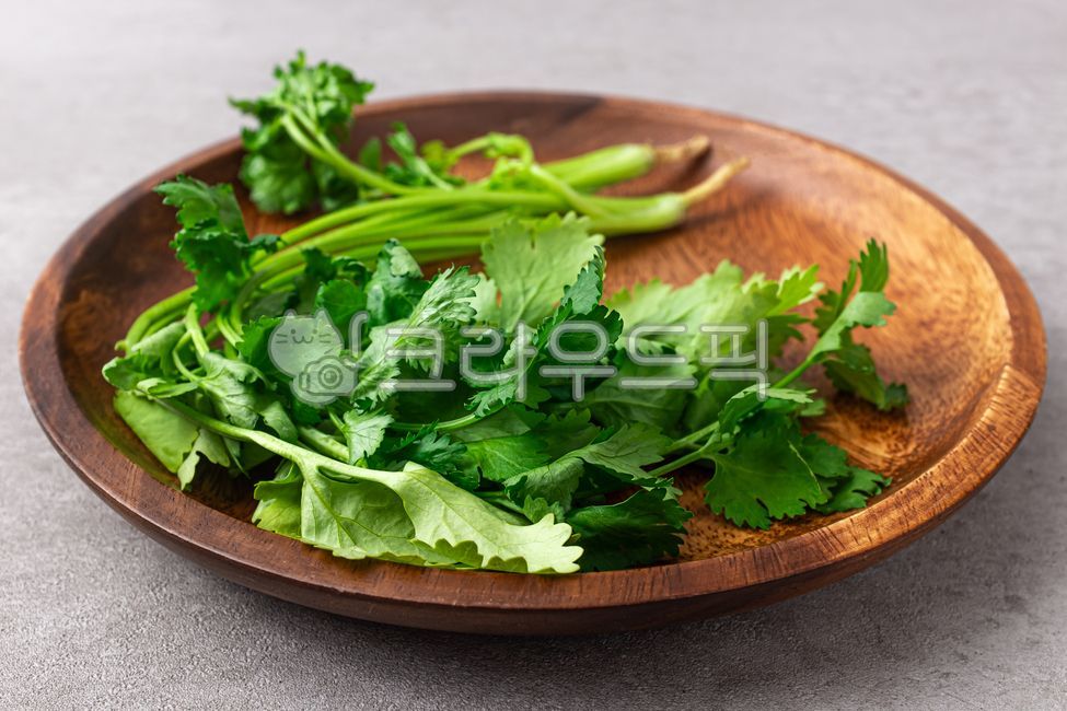 고수,허브,향신료,미나리,채소,야채,잎,줄기,양념,날것,음식,식사,식품,식료품,재료,식재료,음식재료,클로즈업,신선한