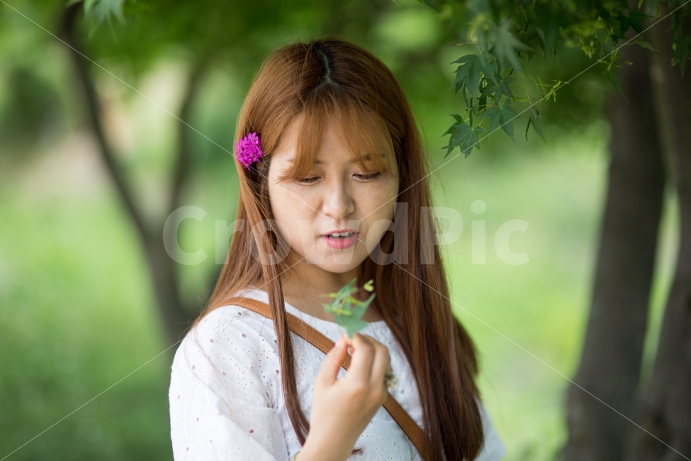 인물,풍경,꽃,portrait,landscape,flower,식물,자연,plants,nature,꽃,flower,사람,인물,인간,human,person,얼굴표정,facial expression,face,여성,여자,woman,female,lady