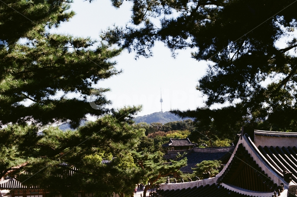 남산타워,궁,서울타워,남산,경복궁,랜드마크,landmark,tourist attraction,한국랜드마크,한국관광지,한국명소,korea landmark,korea tourist attraction