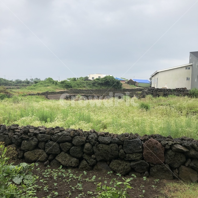 제주도,길가,돌담,흐린하늘,제주도돌담길,street,jeju,greenery,자연,풍경,nature,landscape,제주도,jeju,jeju island,wall,벽