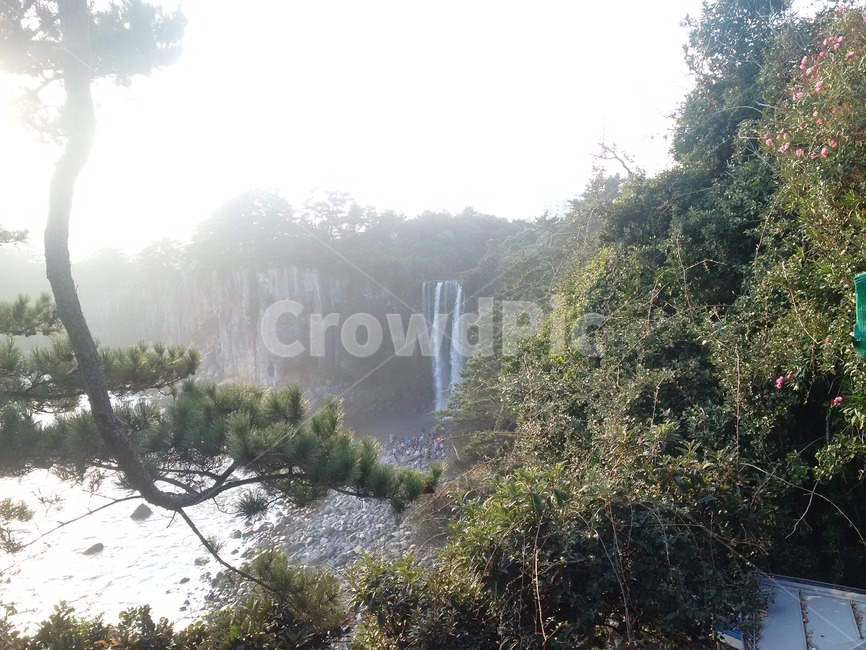 자연,폭포,나무,물,nature,tree,water,waterfall