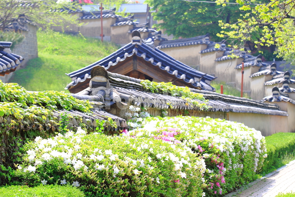 수원,수원화성,화성행궁,화령전,봄날,철쭉,풍경,landscape,scenery,고즉넉함,한적함,편안한,한가한,한국전통,한국문화,korean traditional,korean culture,건축물,건물외관,exterior,building,structure,architecture,construction