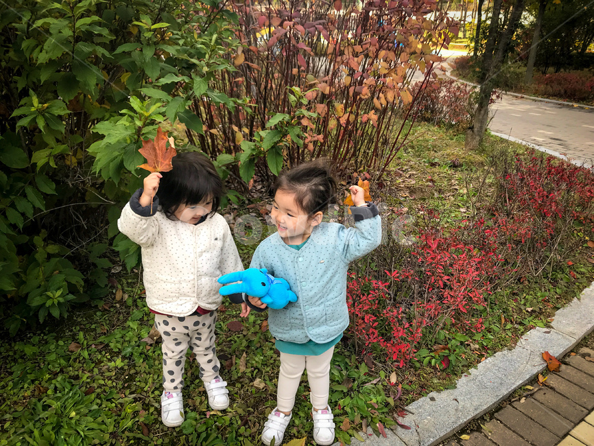 가을,낙엽,아이,겨울,어린이,단풍,인간,human,낙엽우산,우산,사람,식물,tree,plant,나무,사람,인물,인간,human,person,어린이,어린아이,child,children,kid