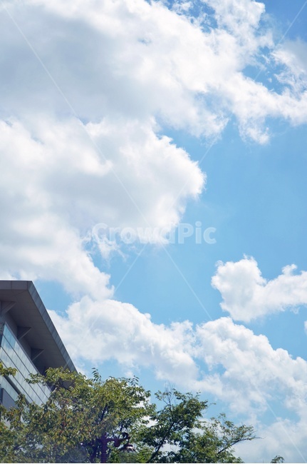 옥외,자연,sky,하늘,푸른하늘,자연,풍경,nature,landscape,outdoors,azure sky,푸른 하늘