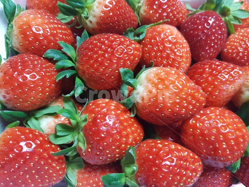 딸기,과일,건강,맛있는,빨강,빨간색,음식,제철,food,fruit,strawberry,red,음식,식재료,요리,food,cook,meal,dishes,food reserves,과일,열매,fruit