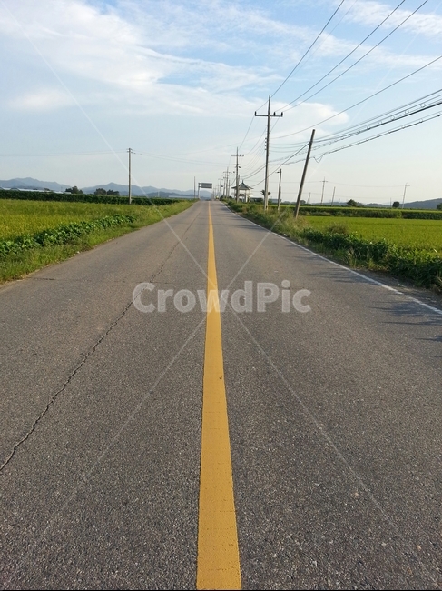 중앙,가운데,도로,시골길,풍경,중앙선,교통,교통수단,traffic,transportation