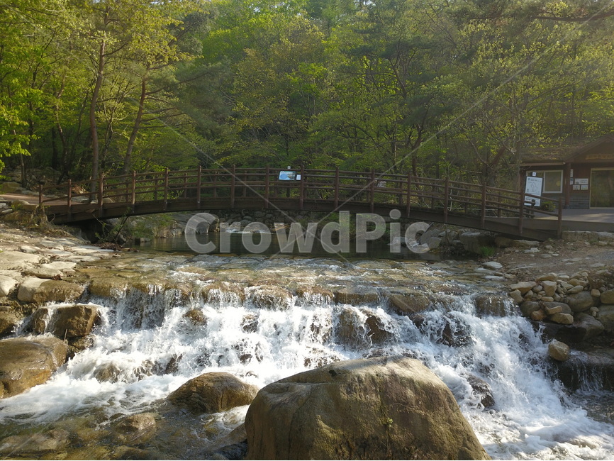 월악산국립공원,만수계곡,만수계곡자연관찰로,계곡,여름,자연,풍경,nature,landscape,water,물,outdoors,옥외,river,강