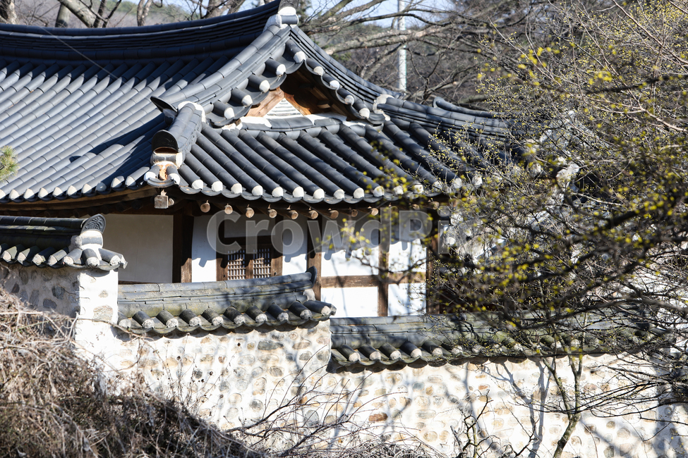 향토유적,유적,육괴정,이천시,사당,기와,한옥,담장,건물,팔작지붕,골기와,기둥,벽면,산,하늘,나무,역사,지붕,roof
