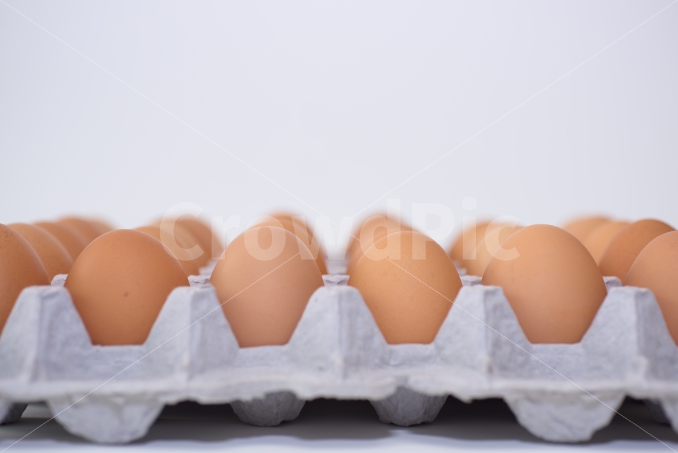 계란,달걀,음식,식재료,먹다,계란판,식료품,egg,단백질,담겨있는,보관,신선,식품,재료,오브젝트,요리,한판,흰배경,후레쉬,무농약,살충제,검사,인증,확인,30개,30알,생활,클로즈업,Closeup,근접촬영,음식,식재료,요리,food,cook,meal,dishes,food reserves