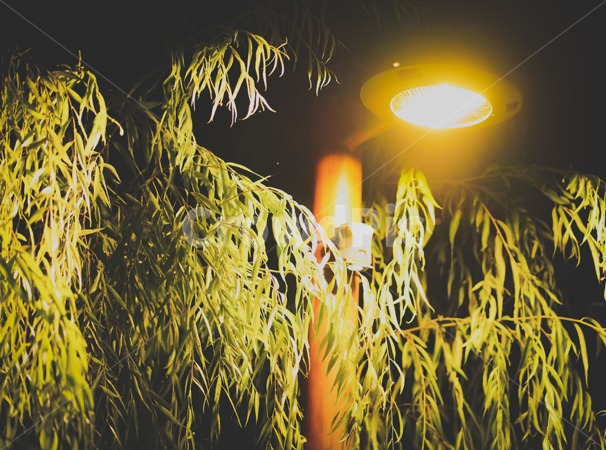 streetlamp,streetlight,가로등,야경,가을,fall,야경,밤,풍경,nightscape,night,landscape