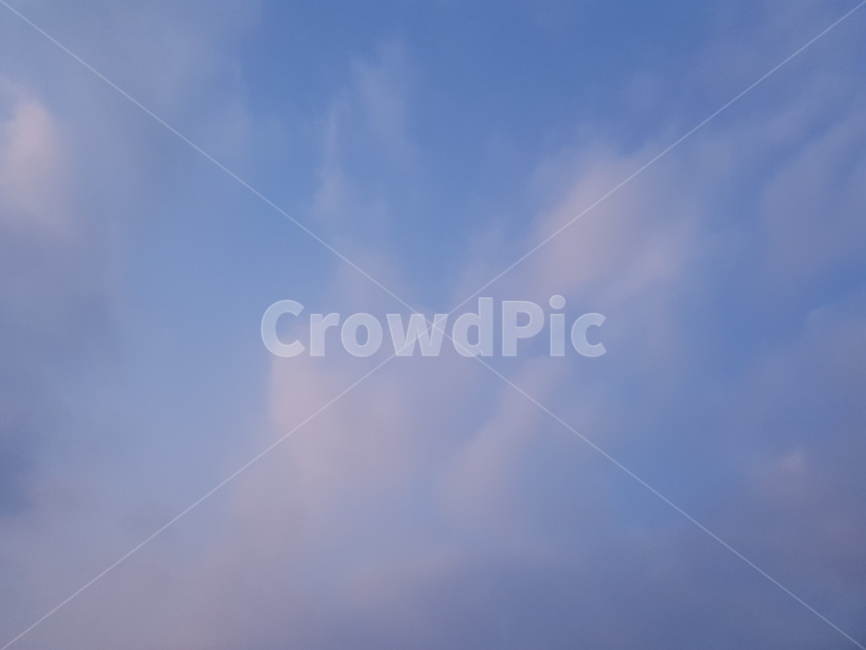 하늘,구름,맑음,자유,시원,sky,cloud,자연,자연,풍경,nature,landscape,flying,나는,animal,동물,bird,새