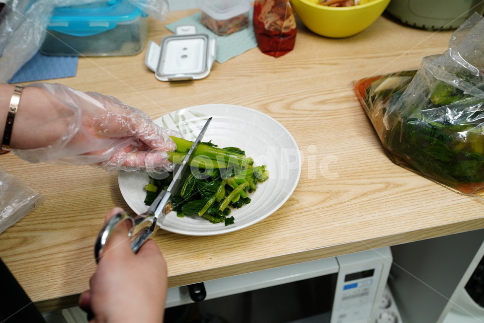 한식,갓물김치,물김치,음식,채소,야채,한국,반찬,먹거리,푸드,food,음식,식재료,요리,food,cook,meal,dishes,food reserves