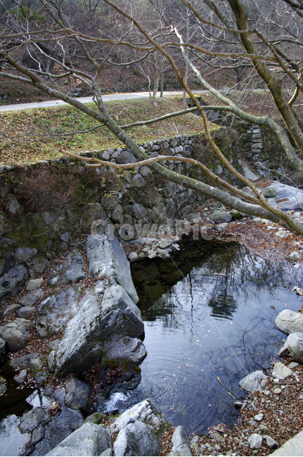 겨울,풍경,나무,냇가,반영,자연,풍경,nature,landscape,water,물,outdoors,옥외,creek,작은 만,stream,흐름