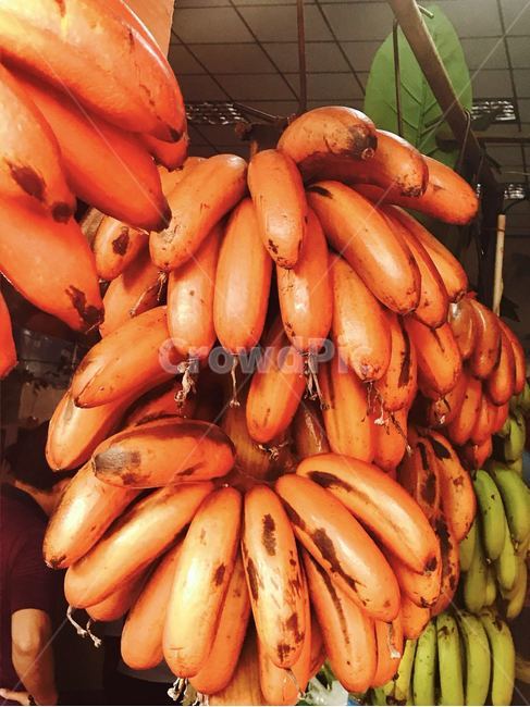빨간바나나,과일,바나나,샤먼,중국,과일,열매,fruit