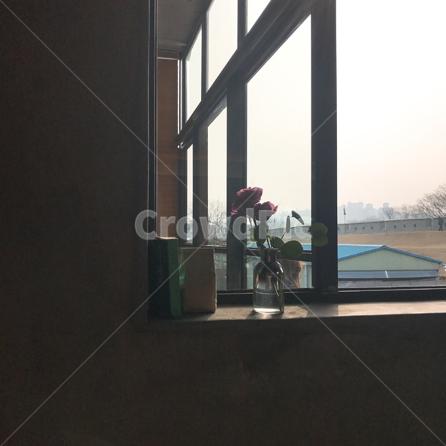 창문,꽃병,책,window,book,vase