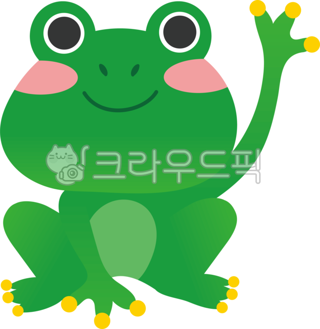 amphibian,수륙양용비행기,animal,동물,frog,개구리,wildlife,야생동물