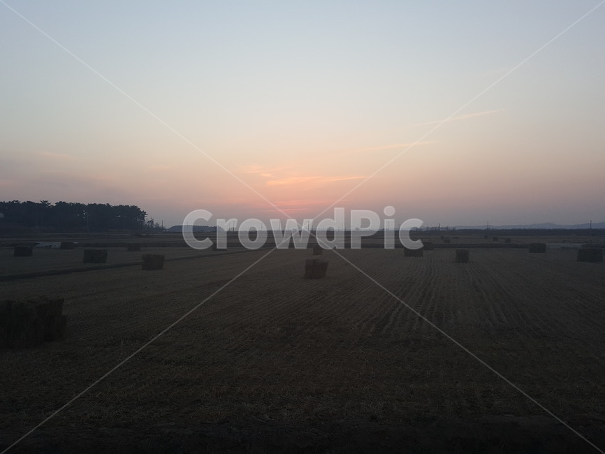 시골,시골길,자연,논,벼,볏집,노을,시골,마을,풍경,landscape,country,rural,town