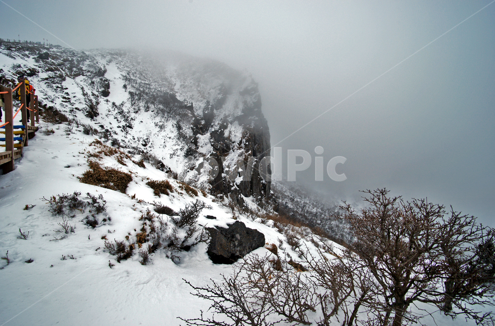 겨울산,한라산,설경,설산,한라산설경,겨울,탐방로,안개,운무,겨울,계절,winter,season