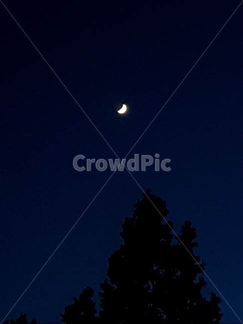 달,야경,풍경,halfmoon,초승달,자연,nature,옥외,야경,밤,풍경,nightscape,night,landscape,outdoors