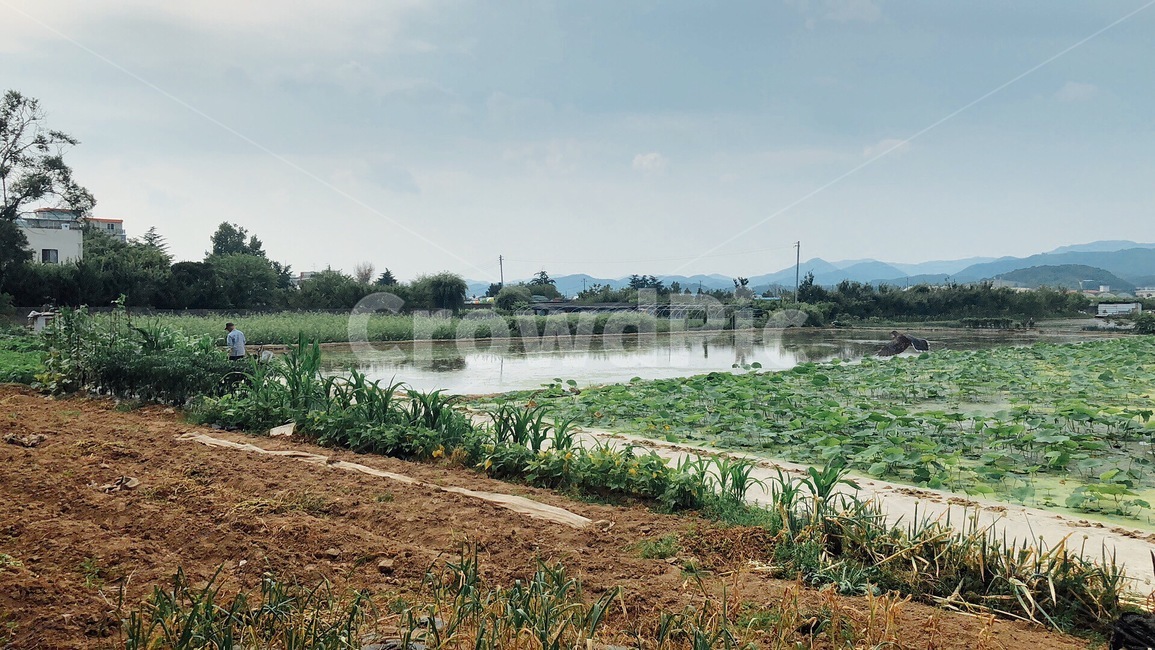 land,땅,nature,자연,outdoors,옥외,ground,바닥,시골,마을,풍경,landscape,country,rural,town