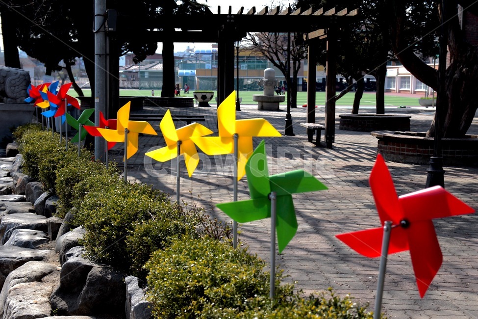 바람개비,운동장,학교앞,울타리,색감