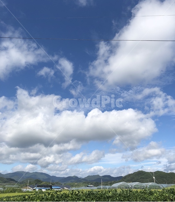 시골,농촌,시골길,하우스,자연,nature,outdoors,옥외,weather,날씨
