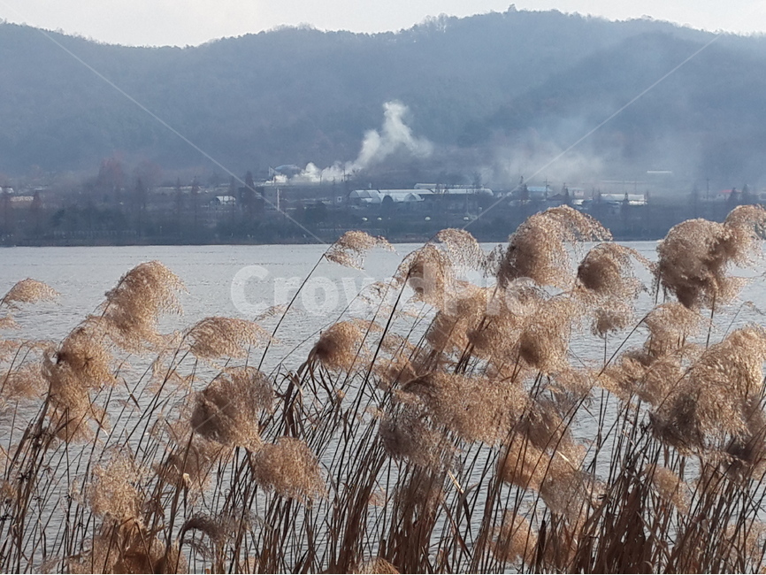 신정호수,호수,갈대,풍경,연기,산,가을,계절,fall,autumn,season,자연,풍경,nature,landscape,식물,plants,plant,grass,잔디,lawn,reed