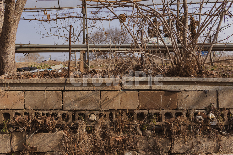 nature,자연,outdoors,옥외,landscape,벽돌,나무,나무,trees,wood