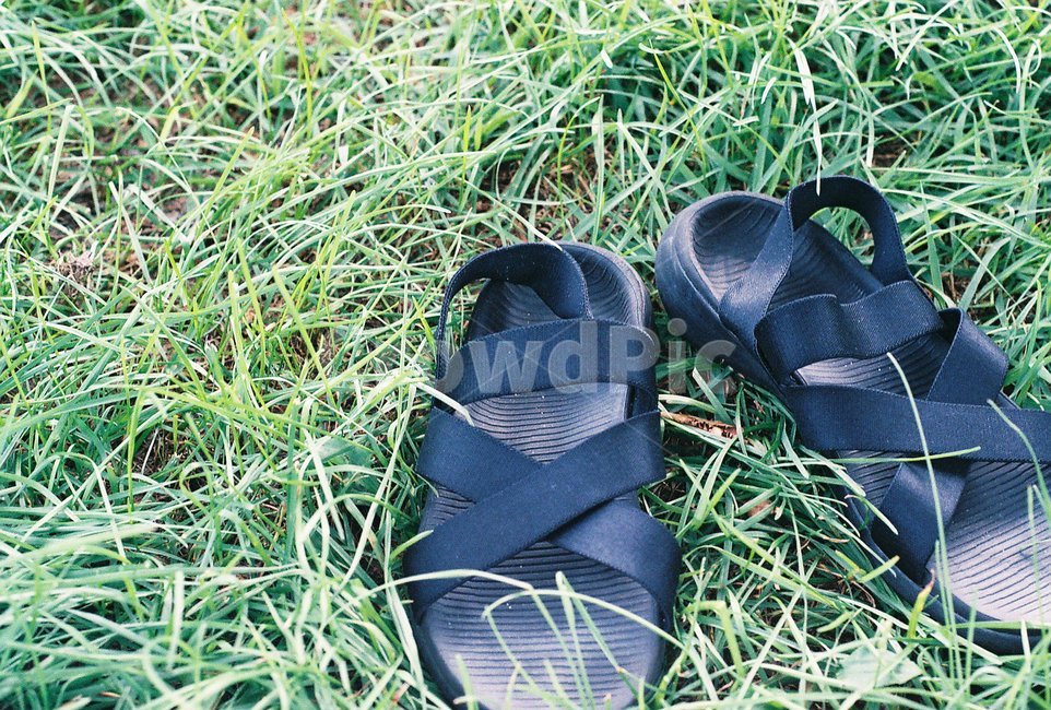 footwear,신발,잔디,샌들,여름신발,필름사진,감성사진