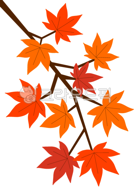 Autumn single product,autumn tree,maple leaves,autumn maple tree,maple tree branch,autumn festival,maple festival,tree branch,red maple leaves,maple leaf