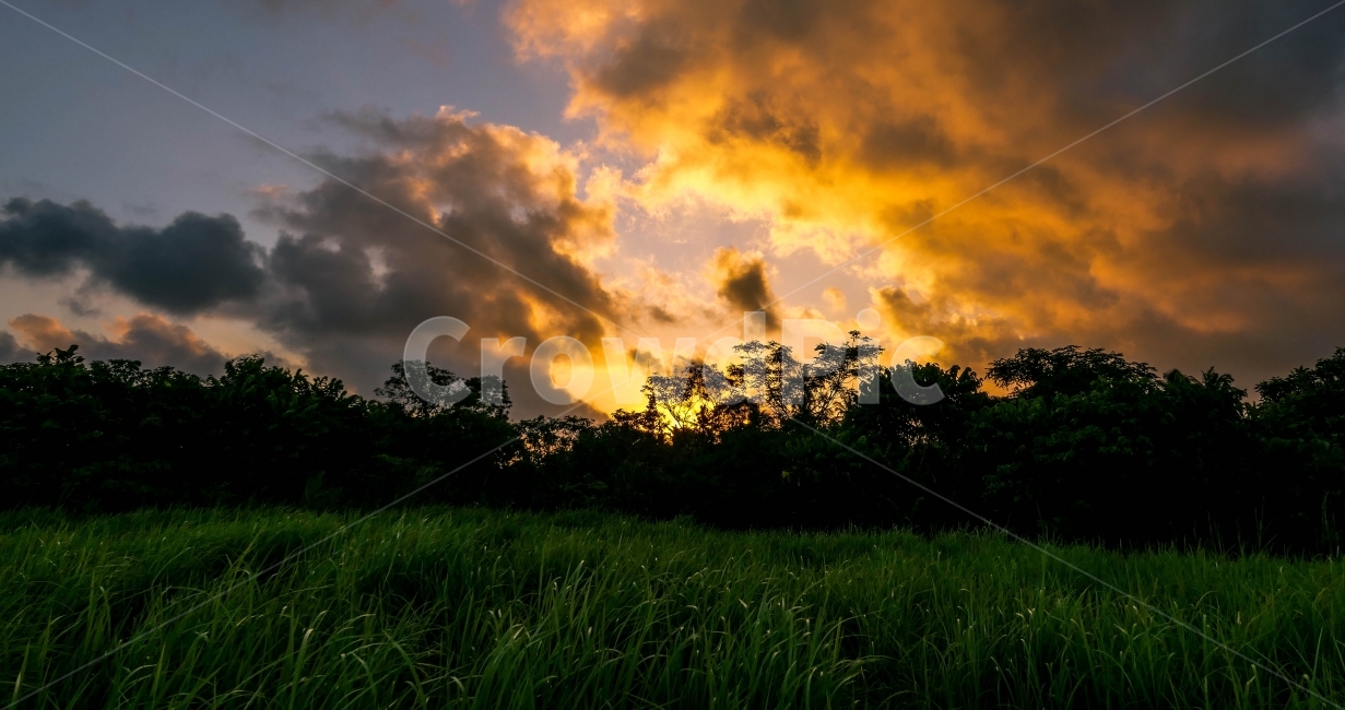 노을,바람,풀밭,구름,석양,우붓,하늘,자연,풍경,sunset,clloud,wind,sky,nature,landscape,field,인도네시아,저녁,evening,자연,풍경,nature,landscape,outdoors,옥외
