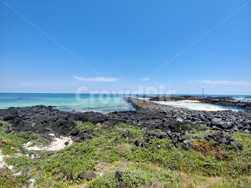제주도,해변,섭지코지,서귀포,애월
