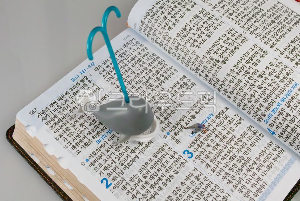 구약성경,요나,요나서,선지서,소선지서,성경,성경말씀,물고기,기독교,개신교,신앙,본문,연출,컨셉,콘셉,direction,concept