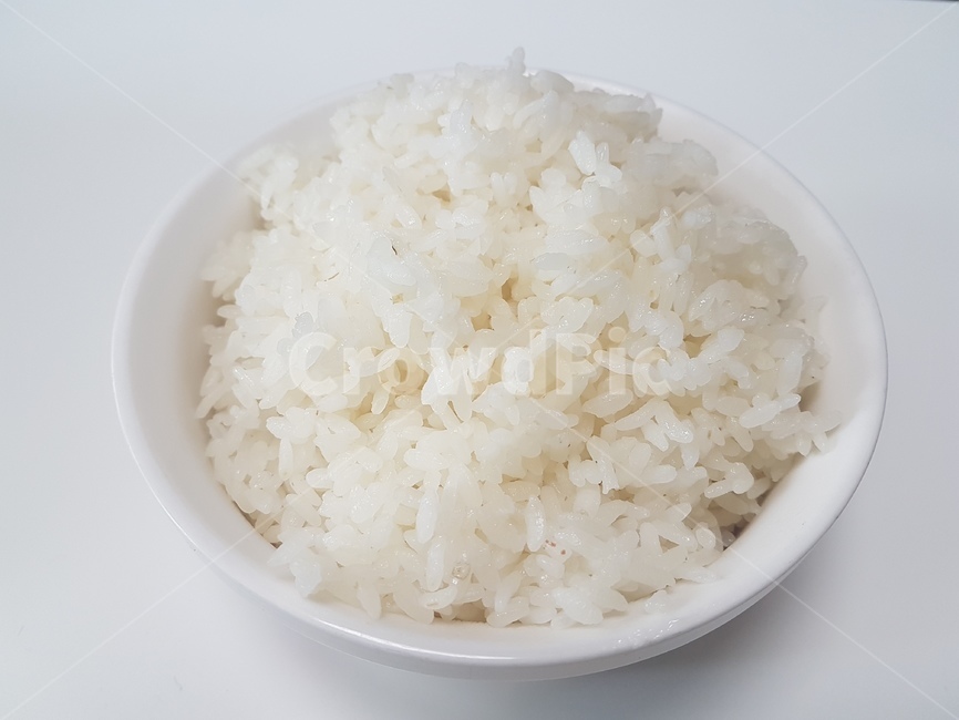 쌀,rice,음식,food,밥