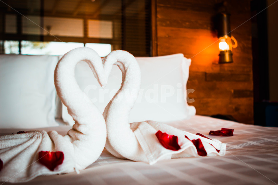 하트,백조,호텔내부,방안,허니문,로맨틱분위기,연인,커플,사랑,lover,couple,결혼,혼례,웨딩,wedding,marriage,marry