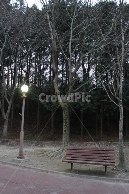 벤치,공원,가로등,나무,쉼터